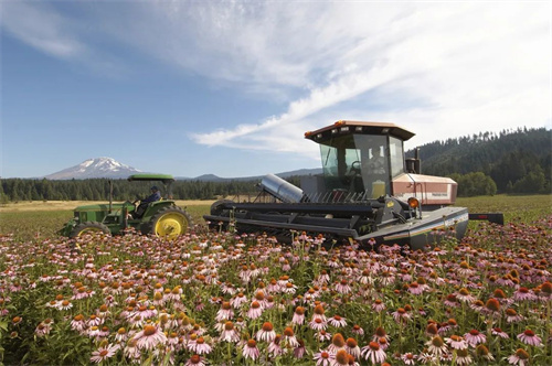 守护公众全面健康，安利打造高品质生活消费新体验！