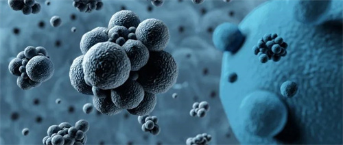 人参皂苷抗癌真相大公开！安然植物干细胞技术引领健康革命