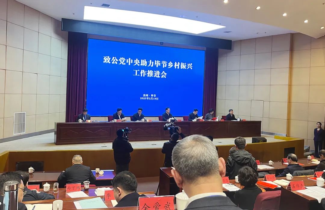 绿之韵胡国安荣获“2024年度致公党中央乡村振兴定点帮扶先进个人”荣誉称号