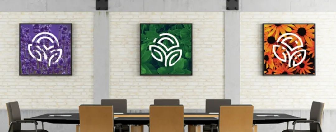 自然阳光公布财报，2024年度亚太区域营收狂涨21%