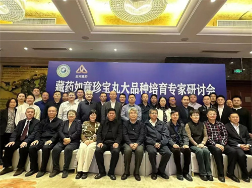 藏药如意珍宝丸大品种培育专家研讨会召开2.jpg