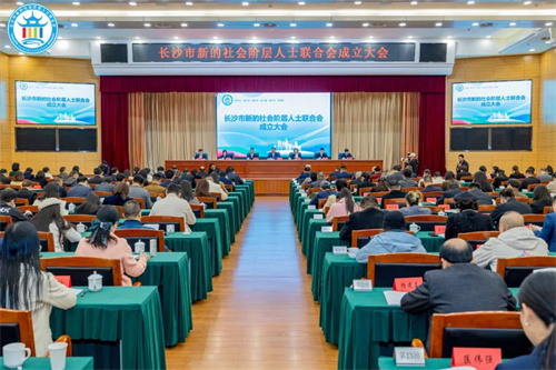 长沙市新的社会阶层人士联合会成立大会12.jpg