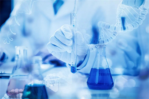 安然集团拜访阿拉伯联盟驻华大使馆活动 开启一带一路新征程5.jpg