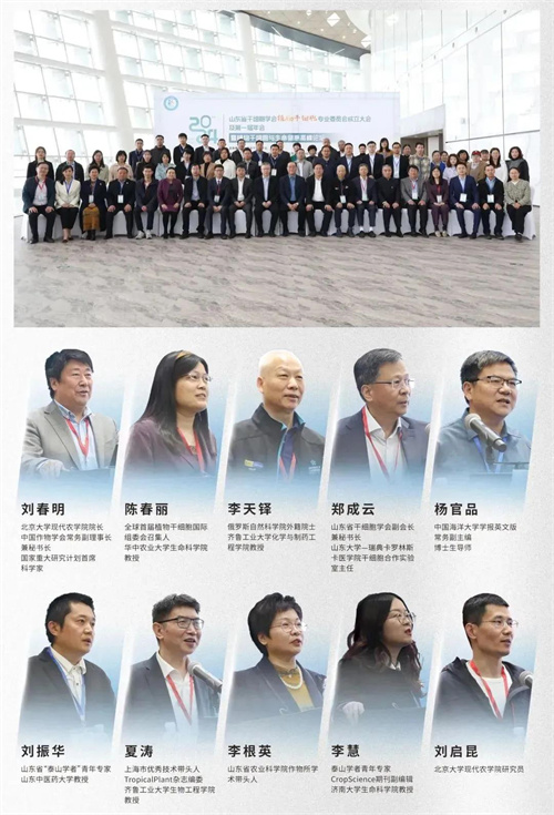 安然集团拜访阿拉伯联盟驻华大使馆活动 开启一带一路新征程15.jpg