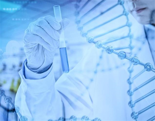 大量资金流入合成生物学 助力医美注射产品材料迭代升级