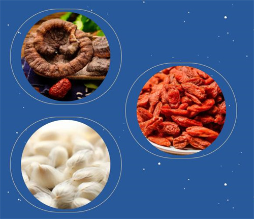 安惠新品上市 灵芝枸杞氨基酸口服液滋养新选择3.jpg