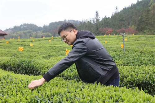 理想华莱张雨当选益阳市第七届人民代表大会代表