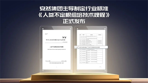 安然集团人参不定根组培技术规程行业标准正式发布
