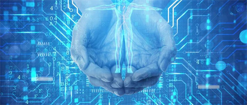 宝健30年：我们只做自然的翻译者