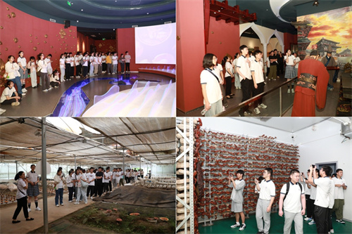 “青春好通・栽桐引凤”南通高三毕业学子走进安惠