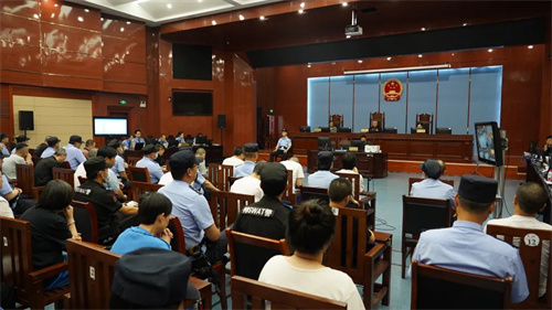 依法严惩传销犯罪 山东检察院传递法治强音