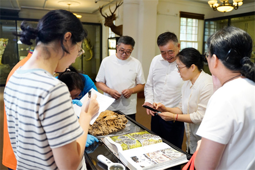 安惠研究人员到南通博物苑开展菌物物种鉴定工作