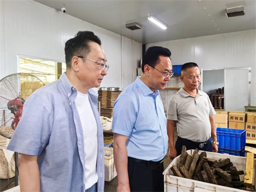 中国工程院院士刘仲华调研理想华莱 共谋黑茶产业发展