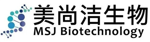 医美企业再获资本青睐！美尚洁生物完成数千万A+轮融资