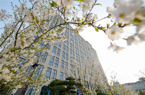 从黄浦江边到北美大陆：春芝堂用技术传递中国温度