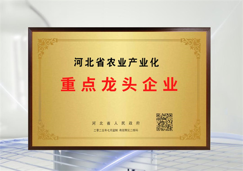 金木集团荣获河北省农业产业化重点龙头企业称号！