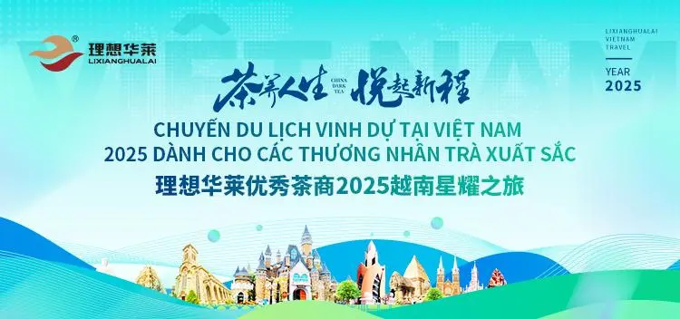 茶养人生，星耀越南！理想华莱2025优秀茶商之旅圆满收官