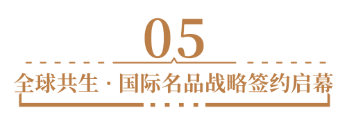 图片 11.png