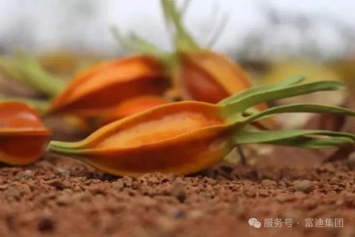 图片 7.jpg