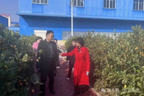 图片 16.jpg