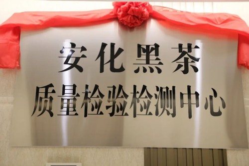 图片 8.jpg