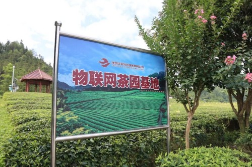 图片 10.jpg