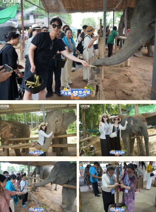 图片 4.jpg