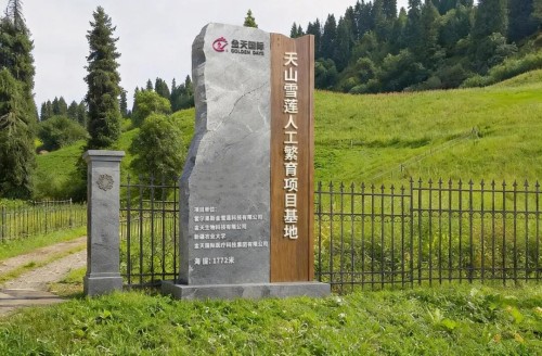图片 1.jpg