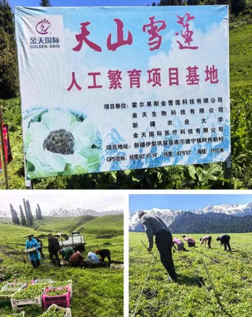图片 3.jpg