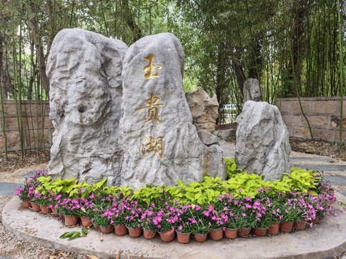 图片 11.jpg