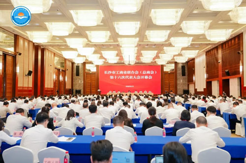 绿之韵劳嘉当选长沙市工商联（总商会）兼职副主席