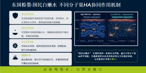 图片 4.jpg