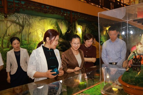 全国妇联妇女发展部副部长奉朝晖在安惠调研