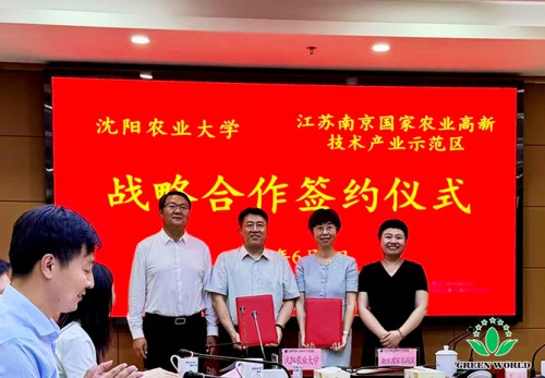 图片 3.jpg