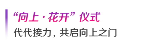 图片 14.png