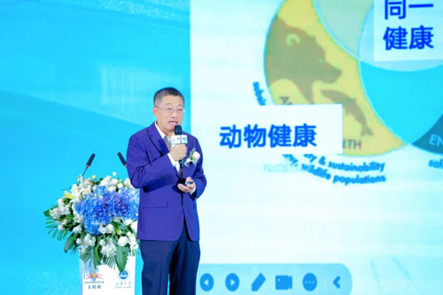 图片 6.png