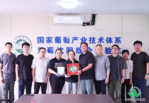 图片 10.jpg