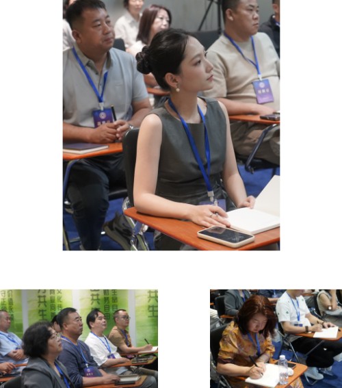 图片 11.jpg