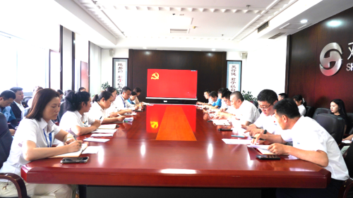 双迪党支部开展七一纪念活动 多措并举激发党建新动能