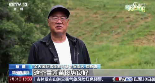图片 7.png