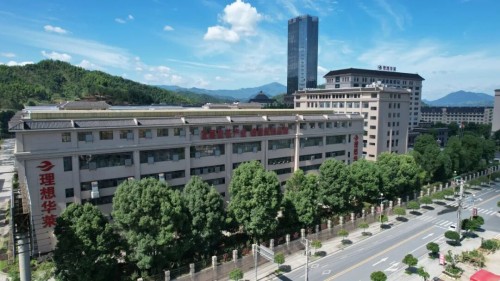 理想华莱抢抓制茶黄金期 释放夏茶独特价值