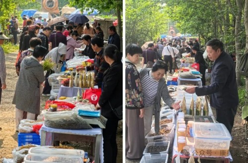 图片 4.jpg