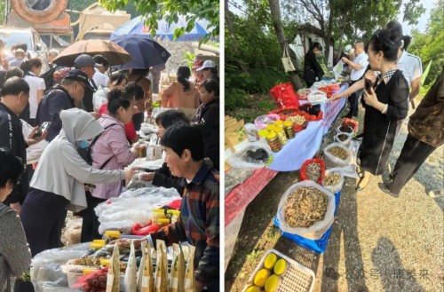 图片 5.jpg