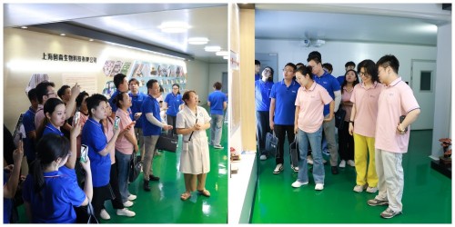 图片 6.jpg