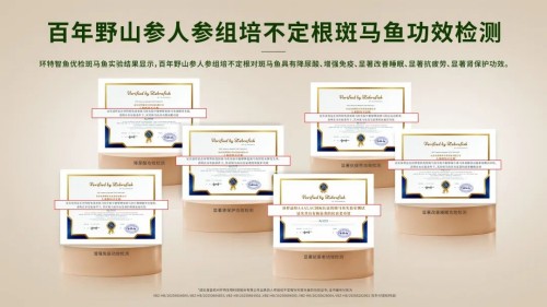 图片 8.jpg
