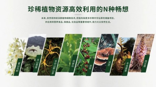 图片 9.jpg