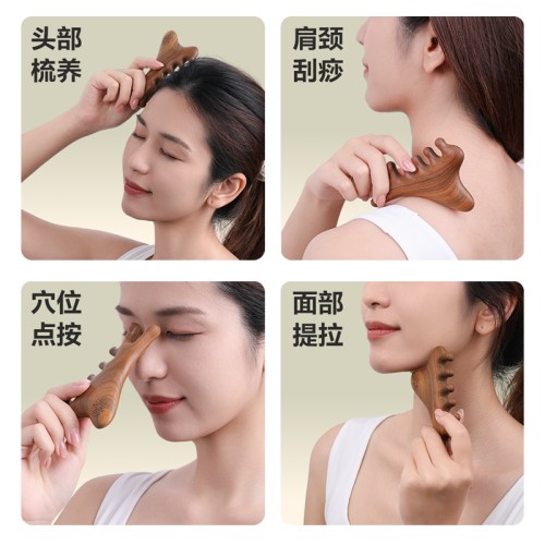 图片 6.jpg