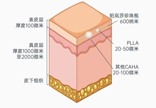 图片 2.jpg