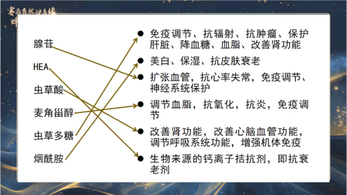 图片 2.png