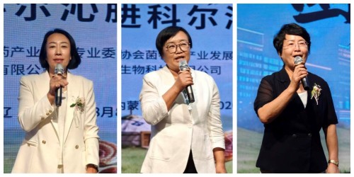图片 9.jpg